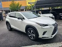2021 Lexus NX 300 2.0 SPICE & CHIC Special Edition