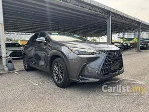 2023 Lexus NX 250 2.5 Luxury SUV