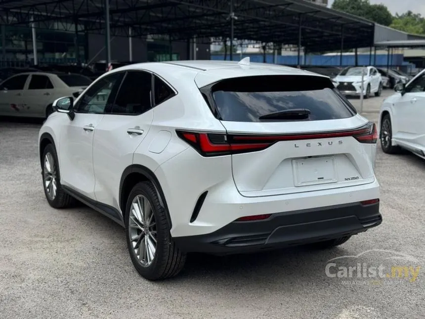 2023 Lexus NX 250 SUV