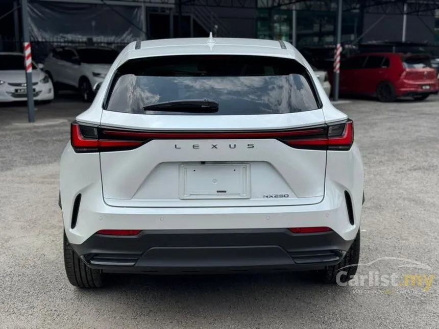 2023 Lexus NX 250 SUV