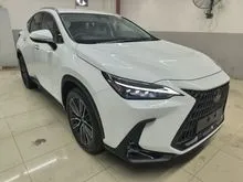 2025 Lexus NX 350h 2.5 Luxury SUV