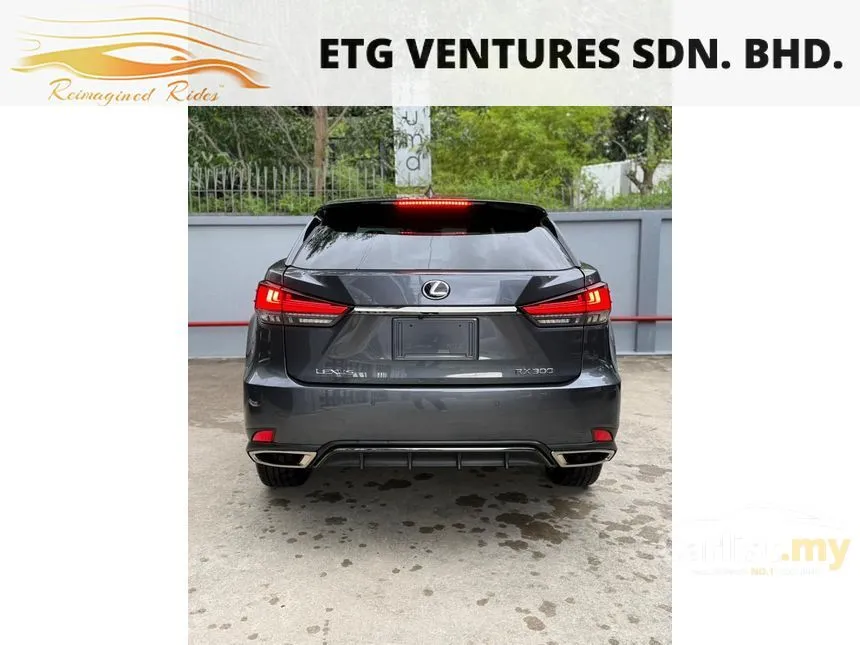 2022 Lexus RX 300 F Sport SUV