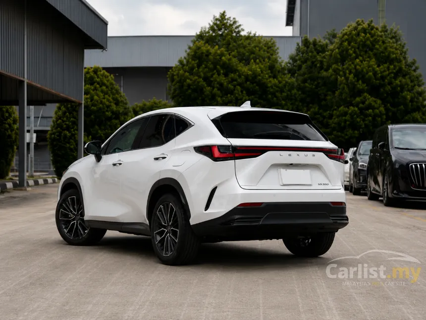 2023 Lexus NX250 SUV