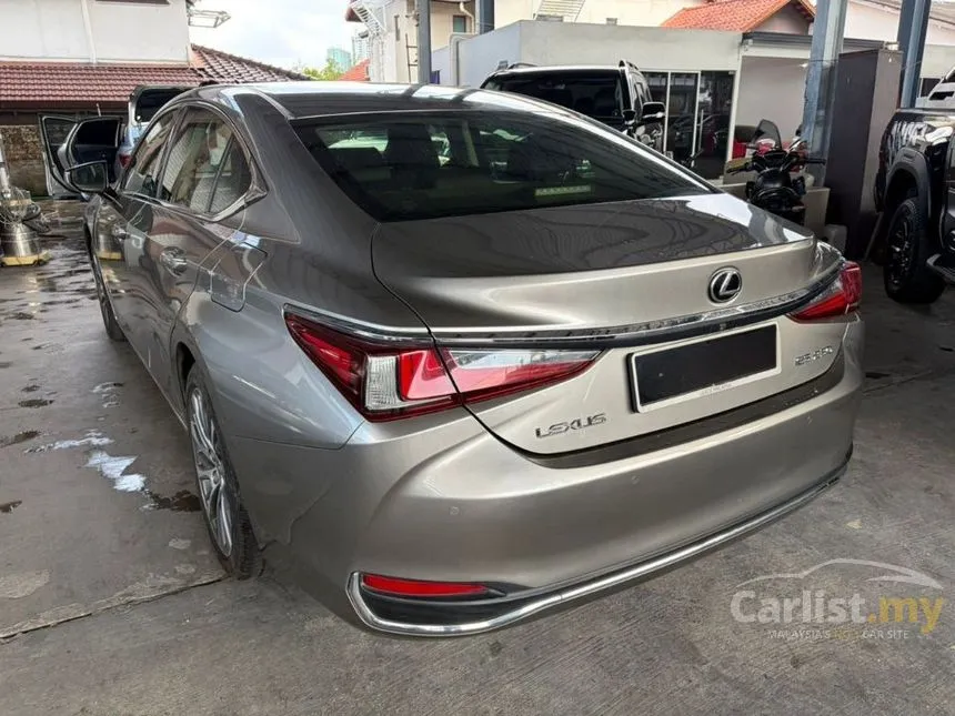 2019 Lexus ES 250 Luxury Sedan