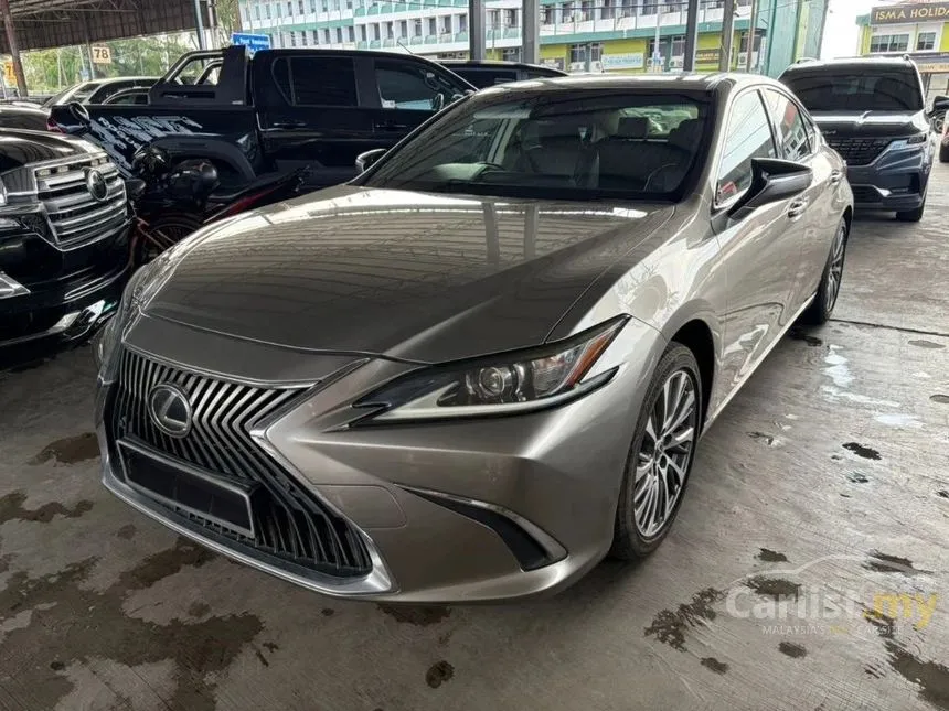2019 Lexus ES 250 Luxury Sedan