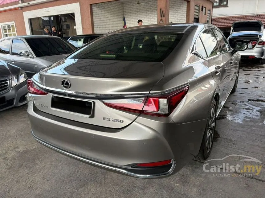 2019 Lexus ES 250 Luxury Sedan