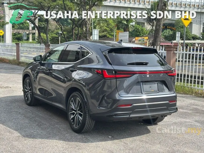 2023 Lexus NX 250 Luxury SUV