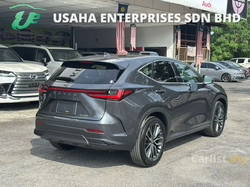 2023 Lexus NX 250 Luxury SUV