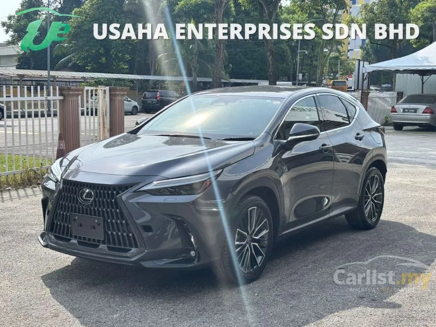 2023 Lexus NX 250 Luxury SUV