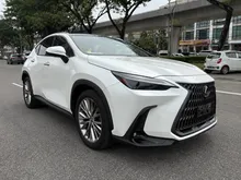 2023 Lexus NX 250 2.5 Luxury BROWN INTERIOR (A) SUNROOF 4CAM PREFECT CONDITION 5A 12,000KM OFFER MUSTVUEW