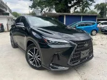 2024 Lexus NX 250 2.5 Luxury (7k Milleage) 4.5A Grade
