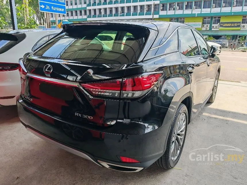 2020 Lexus RX 300 Luxury SUV