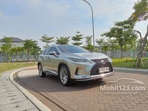 2020 Lexus RX 300 2.0 Luxury SUV