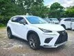 2020 Lexus NX300 2.0 F Sport Sunroof / BSM / 4 Surrounding Cameras / Red & Black Leather
