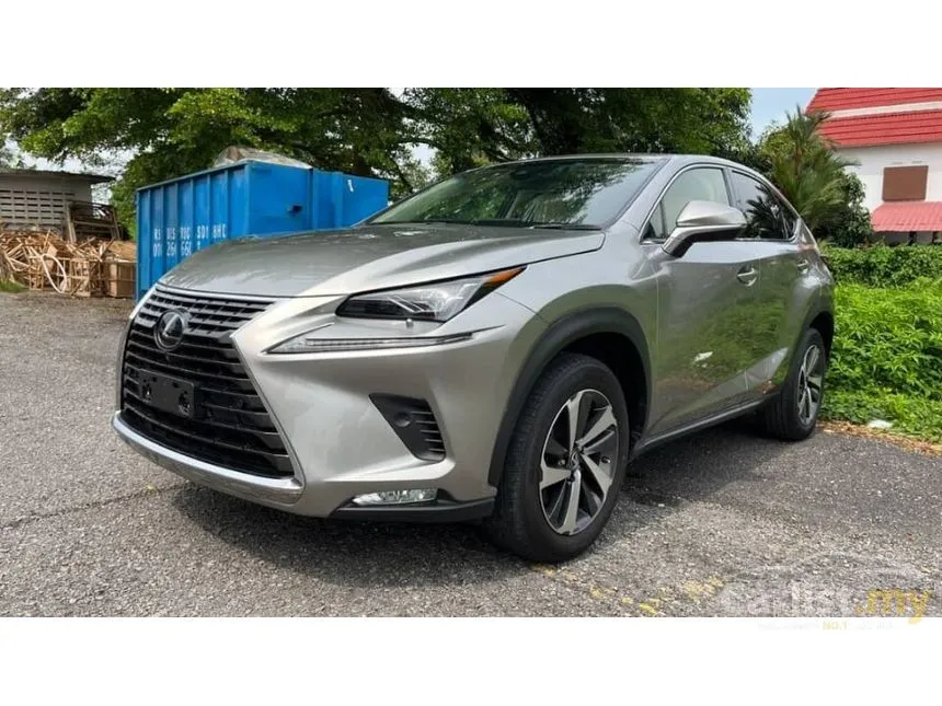 Recon Grade 4.5 Champagne 2019 Lexus Nx300 2.0 Version L.silver 