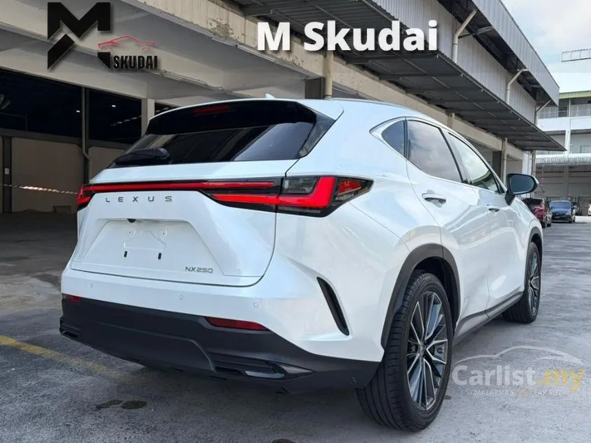 2023 Lexus NX 250 Luxury SUV