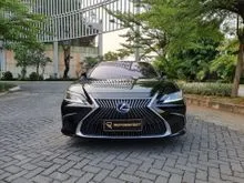 2019 Lexus ES300h 2.5 Ultra Luxury Sedan