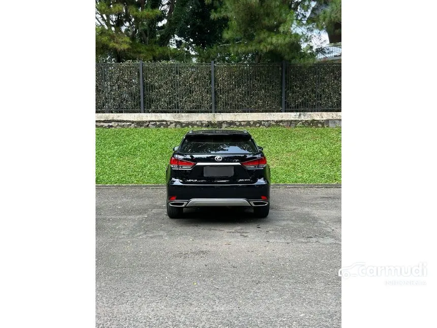 2019 Lexus RX 300 Luxury SUV