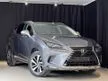 Recon TAX INCLUDED 2019 RED LEATHER Lexus NX300 I Package Premium BSM GRADE 4.5 JAPAN UNREG