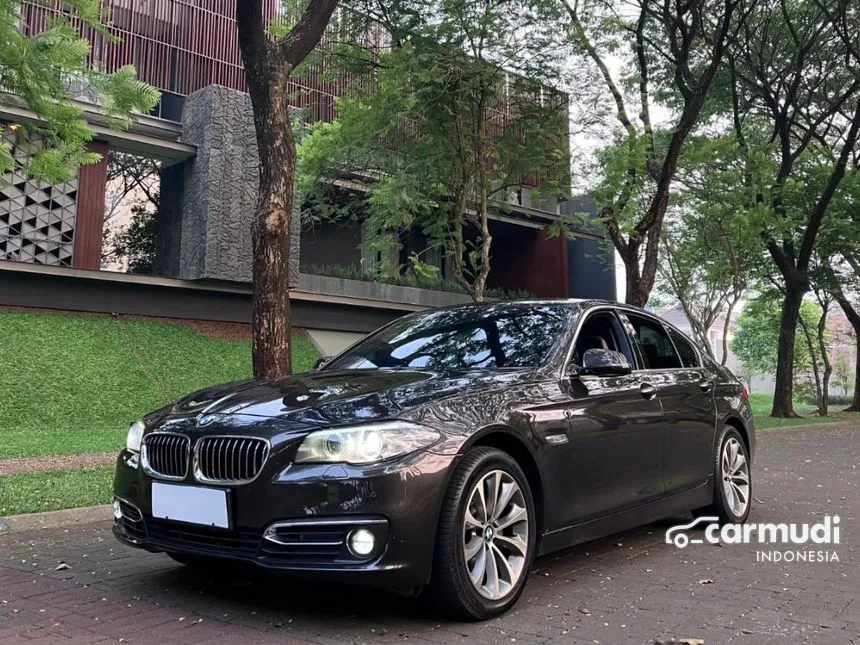 2015 BMW 520i Luxury Sedan