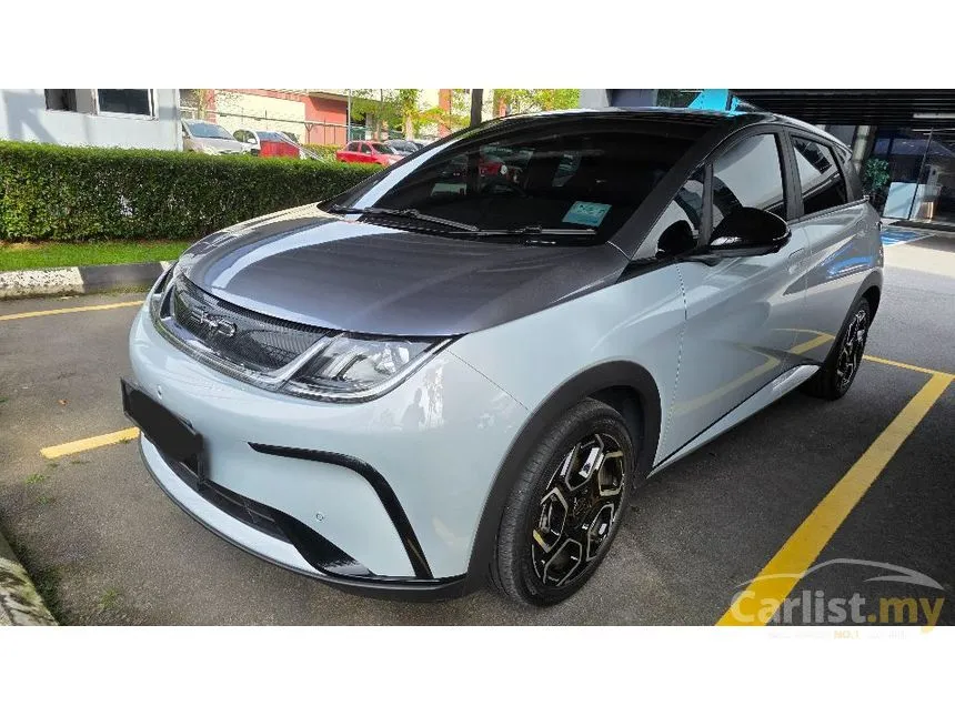 2024 BYD Dolphin Premium Hatchback