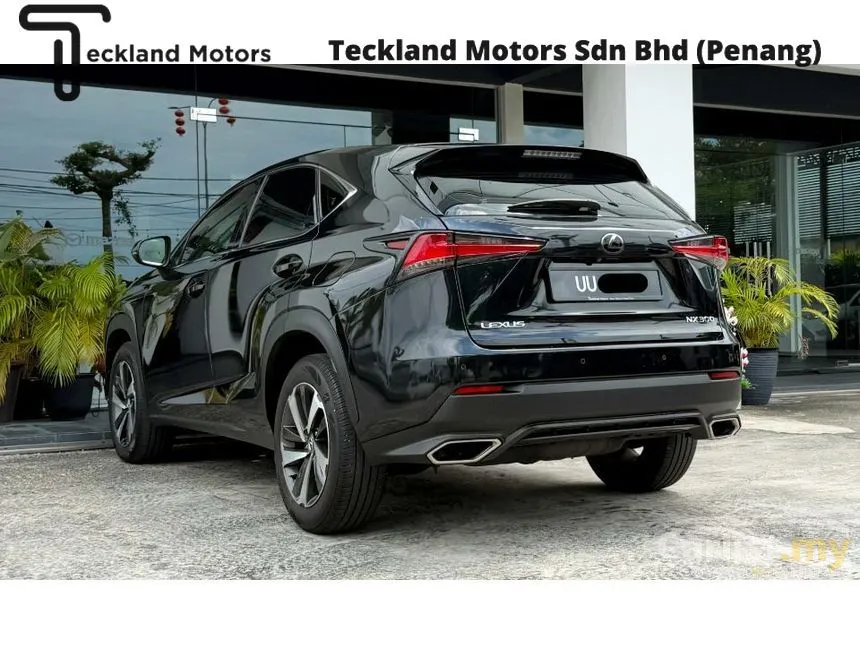 2018 Lexus NX 300 SUV