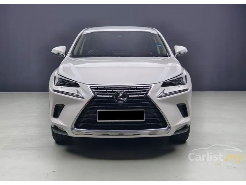 2020 Lexus NX 300 Premium SUV