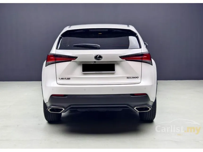 2020 Lexus NX 300 Premium SUV