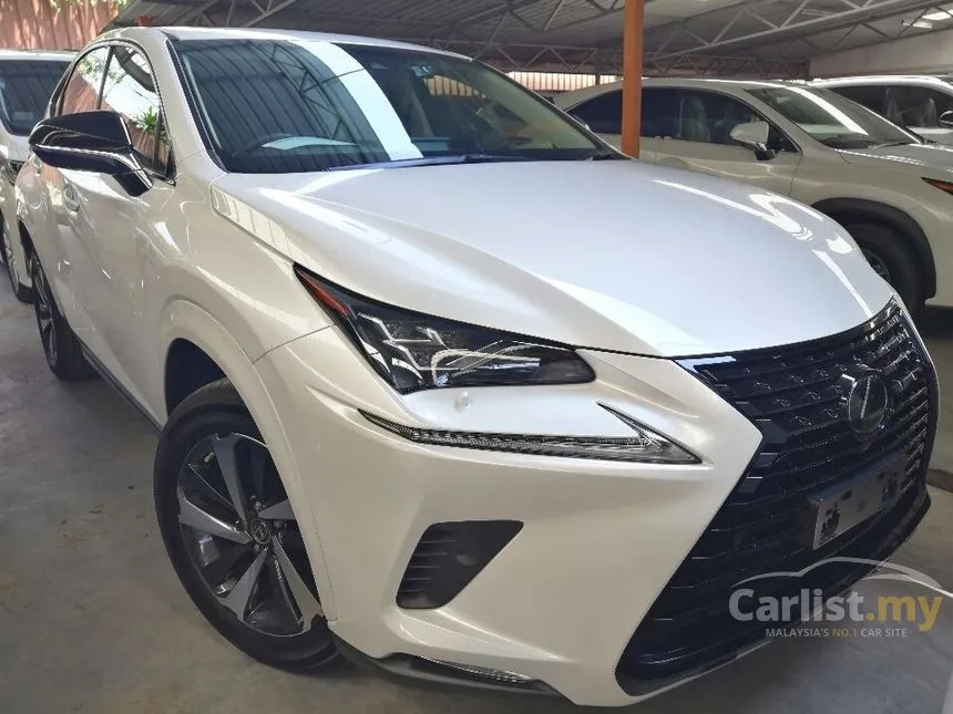 2019 Lexus NX300 I Package SUV