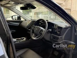 2023 Lexus NX 250 2.5 Luxury SUV