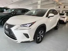 2021 LEXUS NX300 2.0 I-PACKAGE (HIGH SPEC) 13K KM - UNREG $ OFFER $ HURRY $