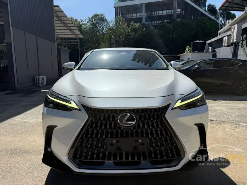 2022 Lexus NX 250 Luxury SUV