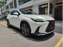 PANROOF 2023 Lexus NX 250 2.5 Luxury 2TONE SEAT NX250 CHEAPEST DEAL UNREG