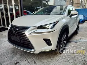 2020 Lexus NX 300 2.0 I Package SUV