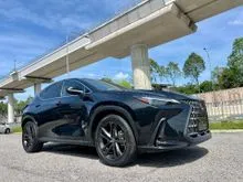 2023 RECON Lexus NX250 LUXURY FULL SPECS