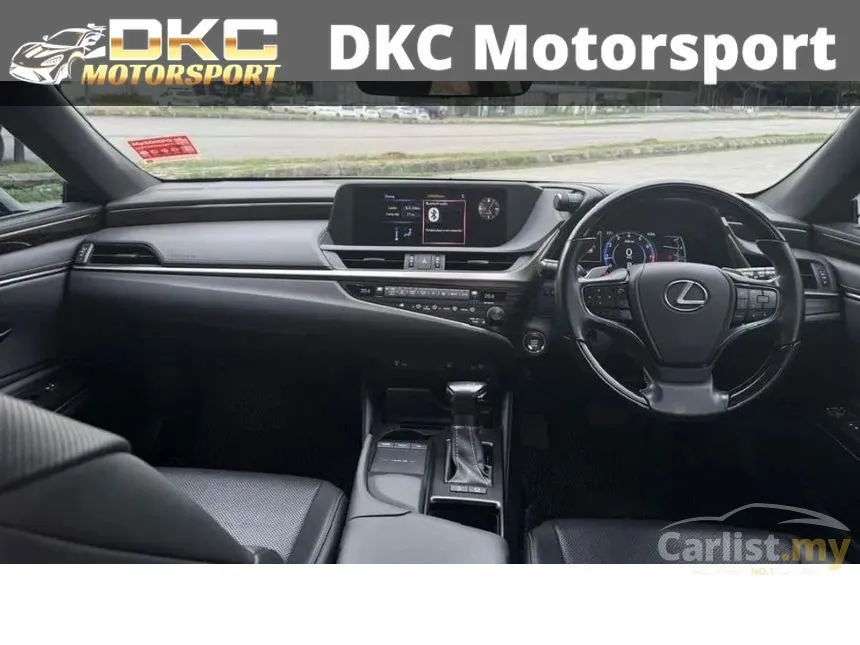 2019 Lexus ES 250 Luxury Sedan