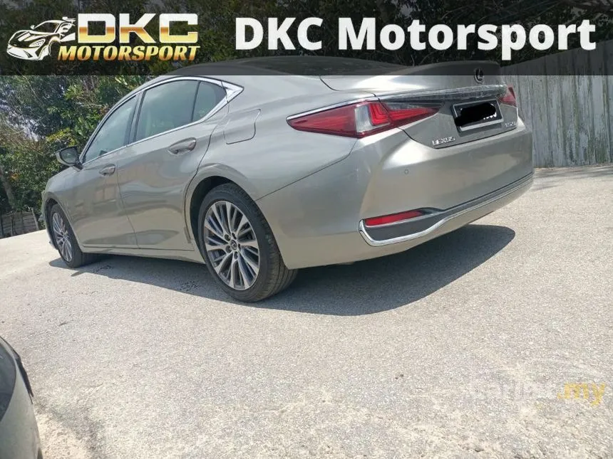 2019 Lexus ES 250 Luxury Sedan