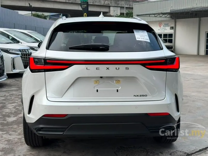 2023 Lexus NX 250 SUV