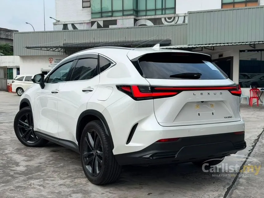 2023 Lexus NX 250 SUV