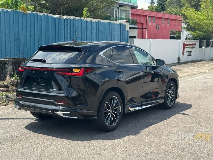 2023 Lexus NX 250 Luxury SUV
