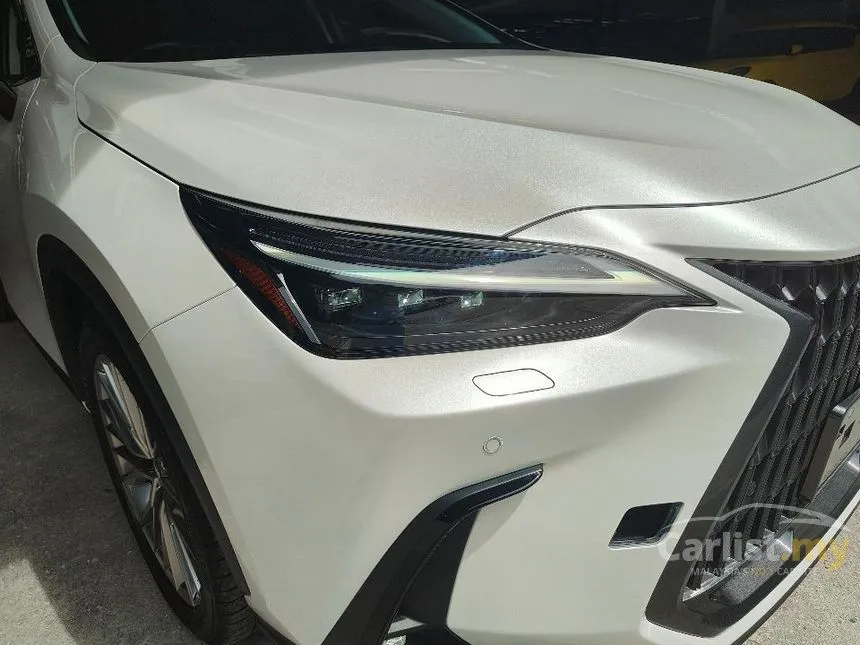 2023 Lexus NX 250 SUV