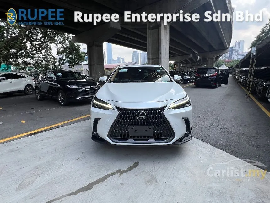 2022 Lexus NX 250 Luxury SUV
