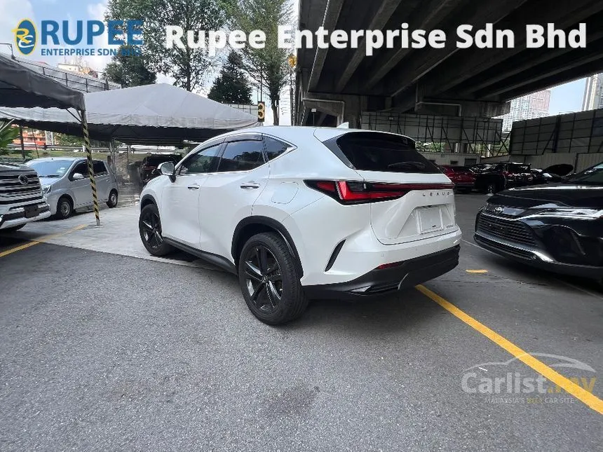 2022 Lexus NX 250 Luxury SUV