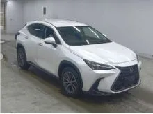 2023 Lexus NX 250 2.5 SUV