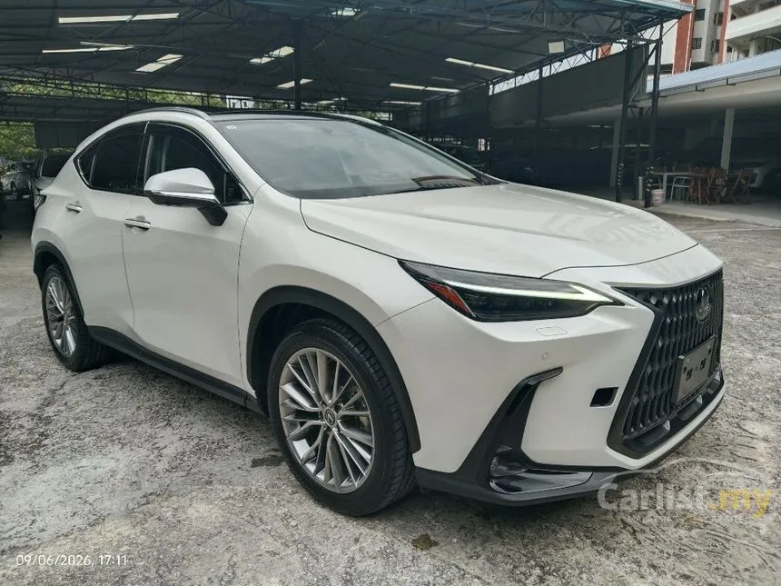 2023 Lexus NX 250 Luxury SUV