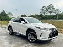 2020 Lexus RX 300 2.0 Luxury SUV