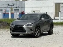 2020 Lexus NX 300 2.0 Premium SUV