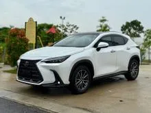 Black Interior, Panoramic Roof, Blind Spot Monitor, 2023 Lexus NX 250 2.5 Luxury SUV