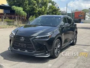 2023 Lexus NX 250 2.5 Luxury SUV