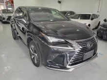 2021 Lexus NX300 2.0 Turbo Premium SUV Spice & Chic